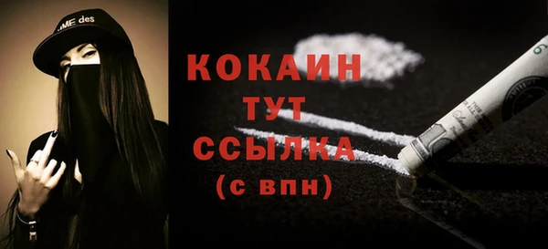 мяу мяу мука Новозыбков