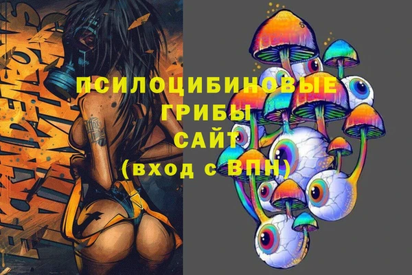 винт Алексин