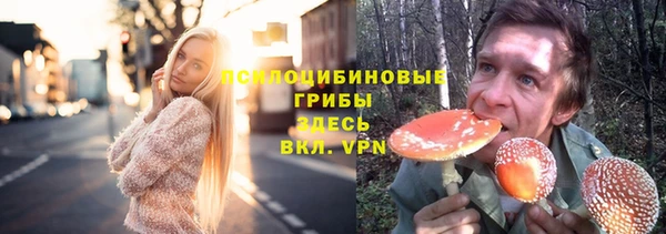 спайс Абаза