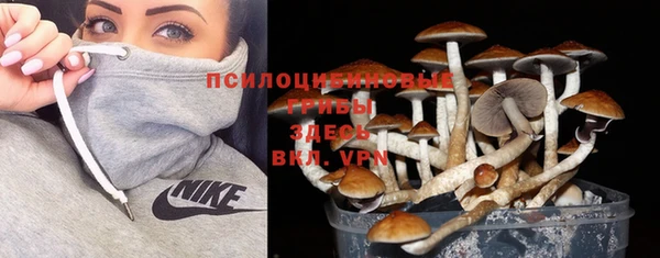 спайс Алексеевка