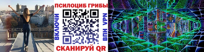Псилоцибиновые грибы мицелий  цены   Сорочинск 
